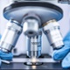 Can Biotech Bounce Back?