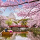 The RSMR Broadcast: Japan & the endless investment opportunities