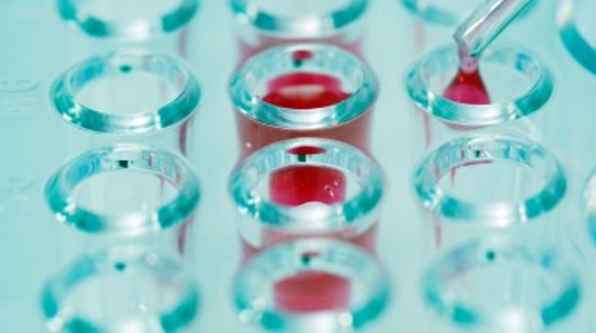 I&I therapies hit new milestones for patients and investors