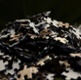 Remaining flexible to solve the income puzzle