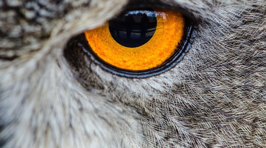 Investing with Eyes Wide Open &ndash; mid-year outlook