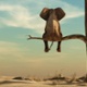 The RSMR Broadcast: Convertibles - is there any downside to hybrid securities?
