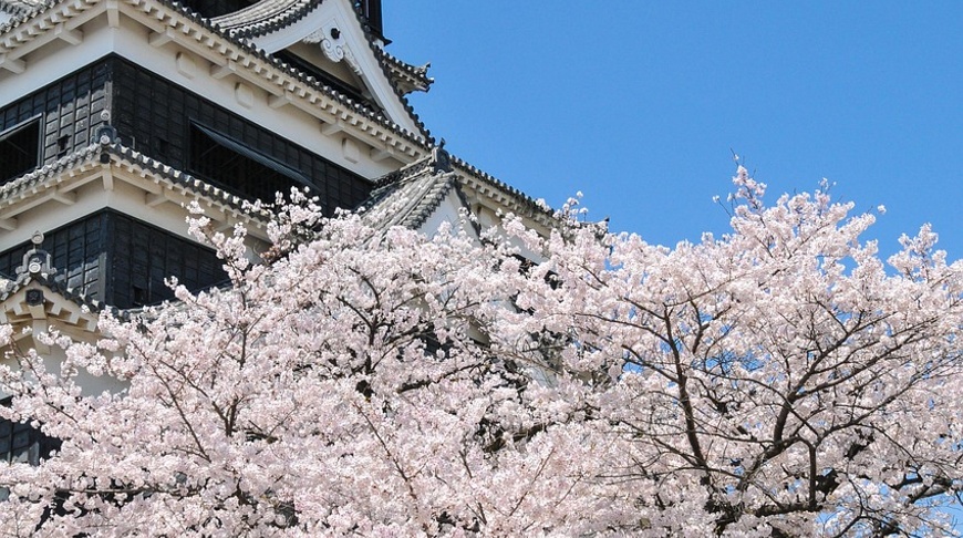 Japanese equities: "Behind where people go, a way for a mountain of flowers"