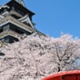 Japanese equities: "Behind where people go, a way for a mountain of flowers"