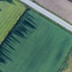 Climate change – time to consider a multi-asset investment strategy?