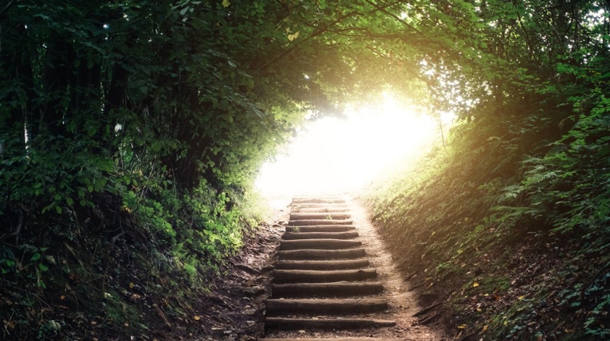 Absolute return: Building resilience in volatile markets