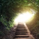 Absolute return: Building resilience in volatile markets