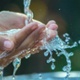 The Dividend Deluge: Part 2