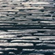 Outlook 2026: Building portfolio resilience with uncorrelated assets