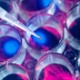 Healthcare: Boosting your defences?